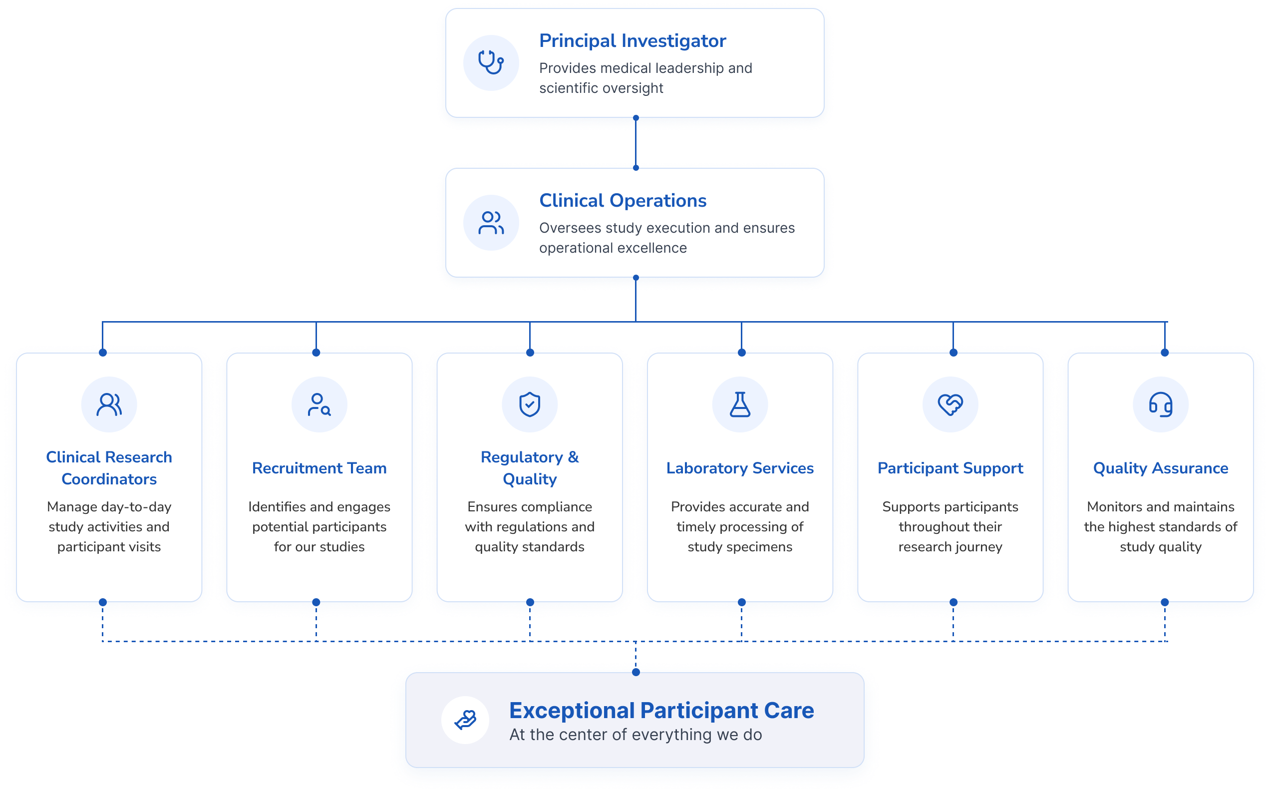 Our Collaborative Team